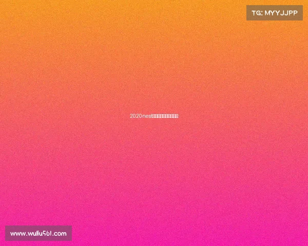 2020nest全国电子竞技大赛官网